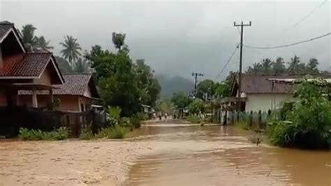 1244 Rumah 372 Hektar Persawahan Di 12 Pekon Terdampak Banjir Semaka