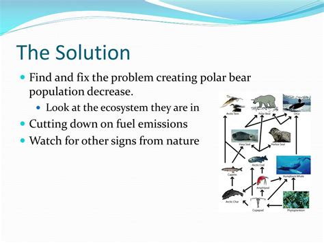 PPT - Polar Bear Conservation PowerPoint Presentation, free download ...