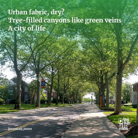 #urbantrees #commonurbantrees #weneedtrees #saveourshade | California ...