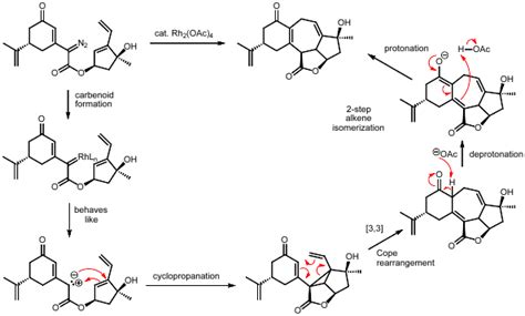 5 Carbene Reactions Chemistry Libretexts