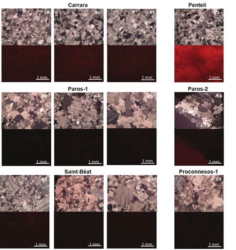 Selection Of Representative Photomicrographs With Petrographic Features