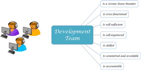 Software Development Team Roles