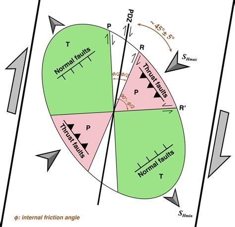 Schematic Plot Of An Ideal Riedel Shear Zone Pdz Principal