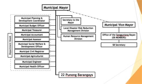 ORGANIZATIONAL STRUCTURE LGU Siruma Camarines Sur