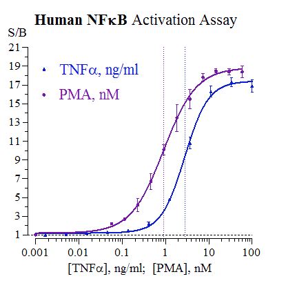 Nf Kb Assay Indigo Biosciences