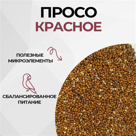 Просо красное пшено лакомство для птиц 3кг - купить с доставкой по ...