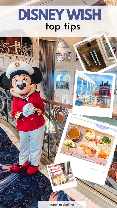 Best Tips If You Go On The Disney Wish Hispana Global