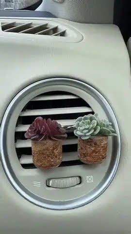 The New Fresh Florals Succulent Air Freshener Vent Clips YouTube