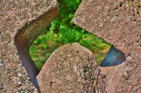 Free Images Tree Wood Leaf Trunk Monument Green Autumn Botany