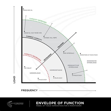 Envelope of Function - Ability Physical Therapy