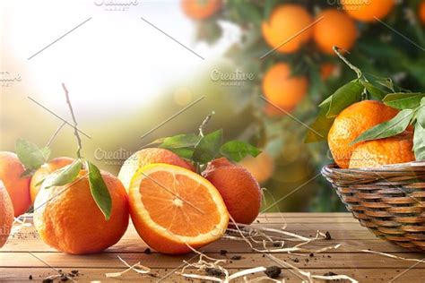 Group Of Oranges On Table In Field High Quality Food Images