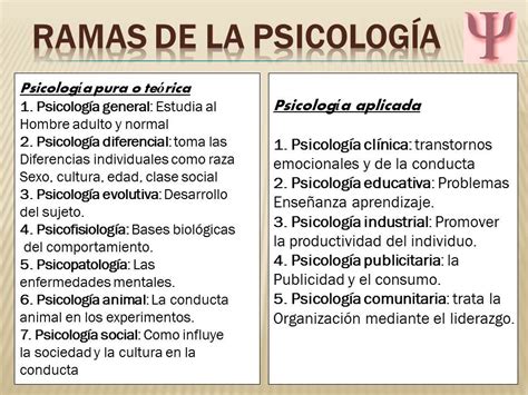 13 Ramas De La Psicologia Mapa Conceptual Pics Nietma