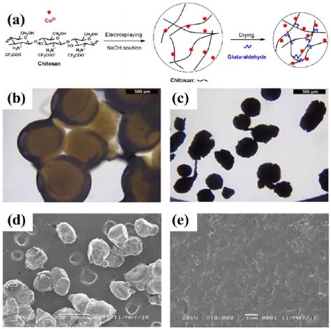 A Diagram For The Preparation Of The Co Microcs Bead Catalyst