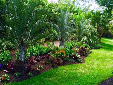 Tropical front & backyard landscapes....Palms & Color - Tropical ...