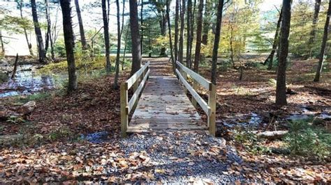 Douthat State Park A Hiking Trail That Wows With Sweeping Lake Views