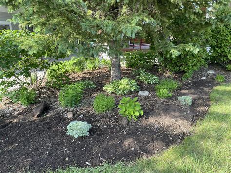 Our Purpose — Northern Michigan Master Gardeners Association