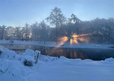 Trout Master Forellenseen Rens Fiskesø