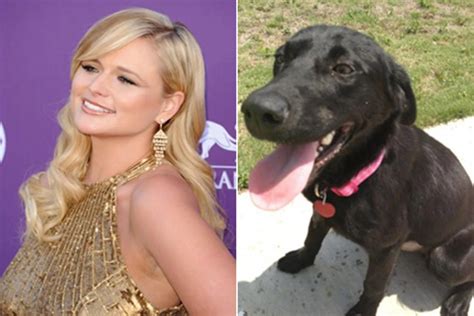 Miranda Lambert Picks Up Yet Another Stray Puppy