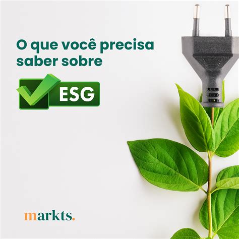 Esg Entenda O Seu Significado