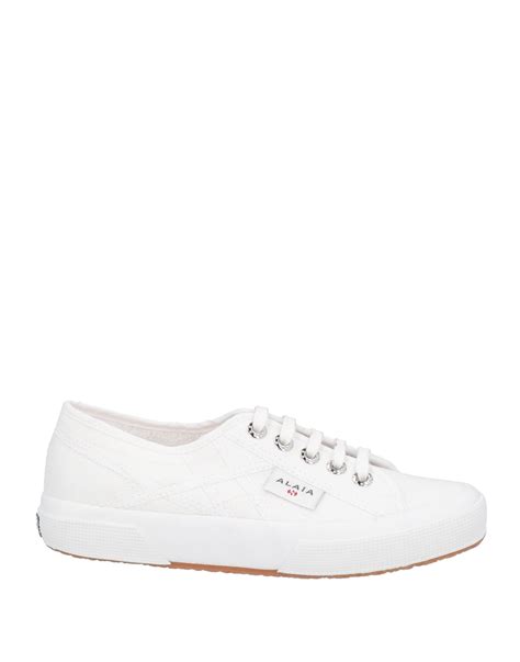 Superga Cotu White Rose Gold Deals Emergencydentistry