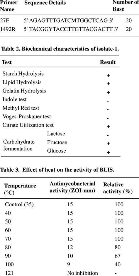 Primers Used In The Experiments Download Scientific Diagram