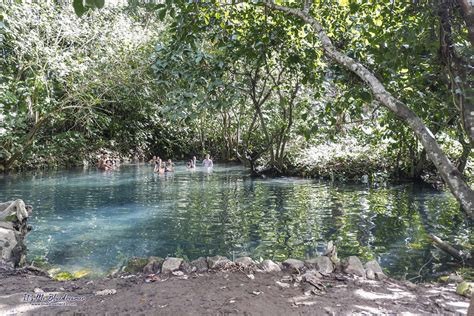 A Muddy Trek to A Hidden Hot Spring in Laguna - It's Me Bluedreamer!