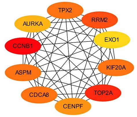 基于geo和tcga数据库对肺腺癌差异表达基因的生物信息学分析