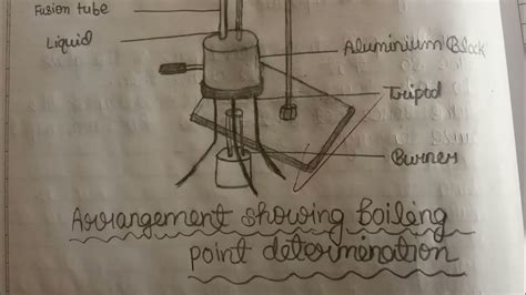 Chemistry Class 11 Practical Determine Boiling Point Organic Compounds Like Benzene