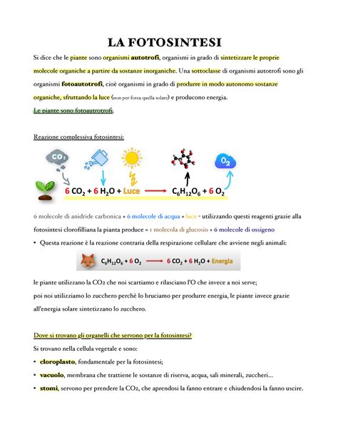 Lezione 9 La Fotosintesi LA FOTOSINTESI Si Dice Che Le Piante Sono