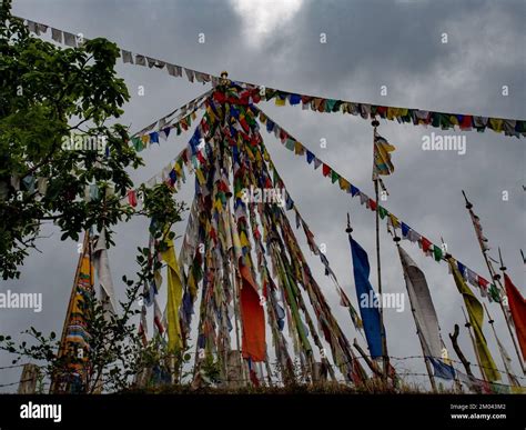 Prayer Flags in Bhutan Stock Photo - Alamy