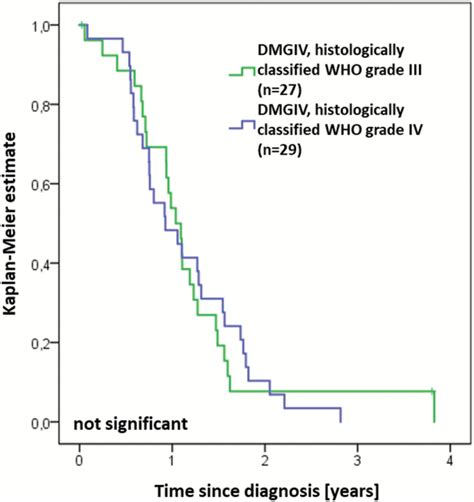 Diffuse High Grade Gliomas With H K M Mutations Carry A Dismal