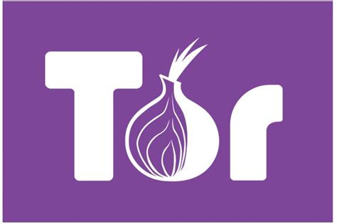 Cómo proteger su privacidad on line con el navegador Tor