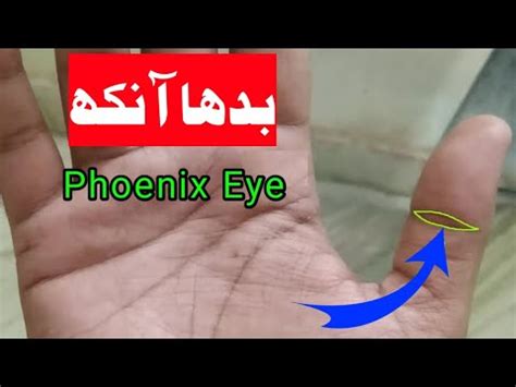 Budha Eye On Thumb Phoenix Eye On Thumb Youtube