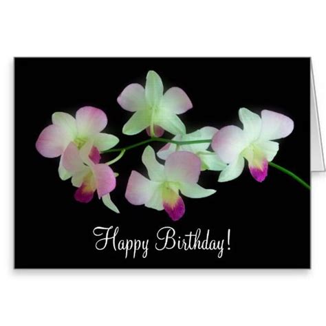 Happy Birthday Orchids