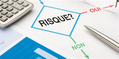 Gestion Des Risques Leconomiste