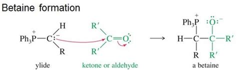 Ochem Ch 17 Flashcards Quizlet