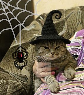 Ravelry: Party Witch hat for cat pattern by Alex Shapoval