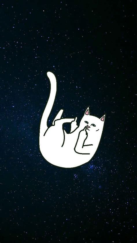 Ripndip Nermal Wallpapers Chidos Ripndip Cat Hd Wallpaper