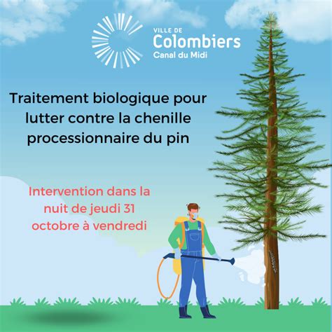 Traitement Biologique Pour Lutter Contre La Chenille Processionnaire Du