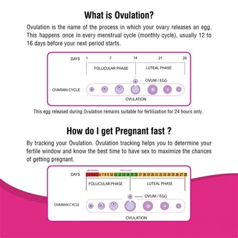 I Know Ovulation Kit Buy Online At Best Price In India From