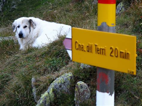 Vor Dem Abstieg Ins Tal Fotos Hikr Org