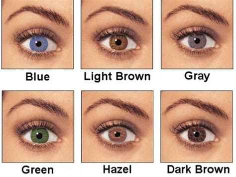 Eye Colour Chart With Photos Of Real Eyes Advanced Novel Writing What Is Your Eye Color