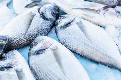 Una Gran Cantidad De Pescado Fresco En El Mercado Pesca Fresca Vista