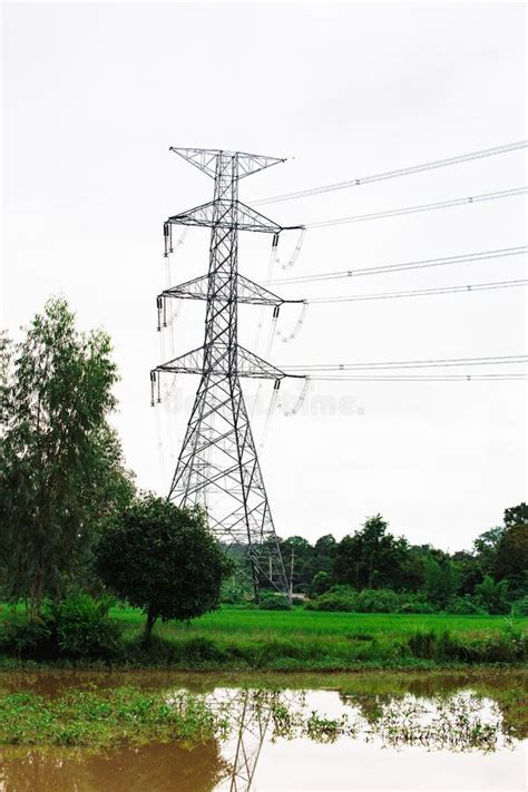 High Voltage Tower Electricity Post Electric Post High Voltage Lines