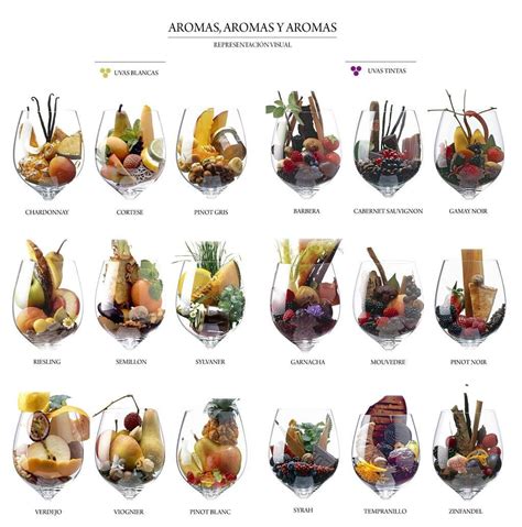 A Great Guide To Help You Identify Aromas In Your Grapes Wine