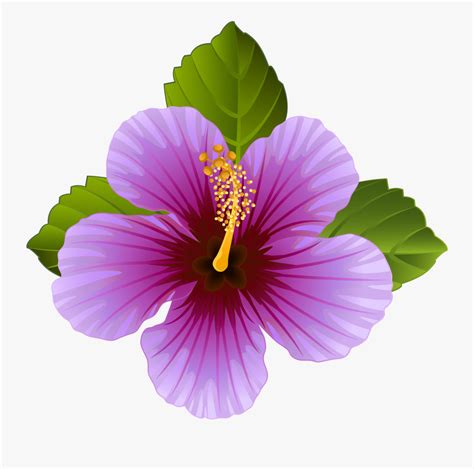 Purple Flower Clipart - Purple Hawaiian Flowers Clip Art , Free ...