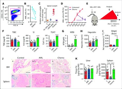 Iron Metabolism In The Mll Af Aml Mouse Model A Mll Af Aml Cells