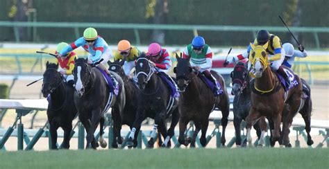 有馬記念決着は“w杯サイン馬券”だったネットで話題「アルゼンチン優勝年の都市伝説が証明された」 スポニチ競馬web