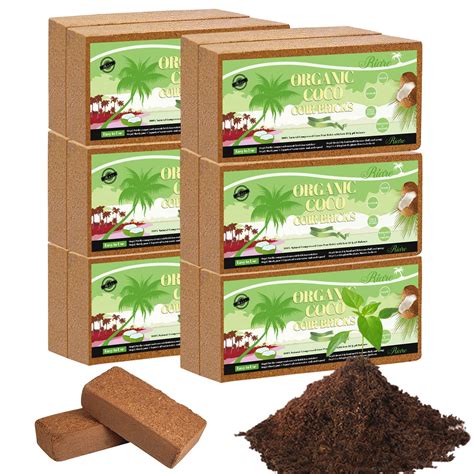 Buy Riare 12pcs Organic Coco Coir Bricks Soil Blocks 100 Natural