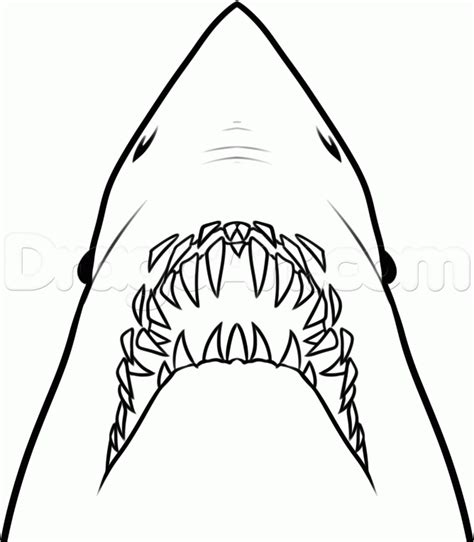 How to draw jaws step by step drawing guide by dawn – Artofit